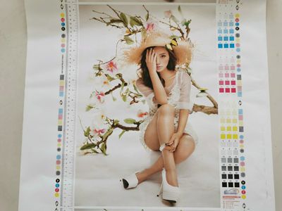 Impresora flexográfica de 6 colores